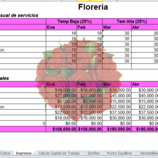 Plan de Negocios proyecto de Floreria