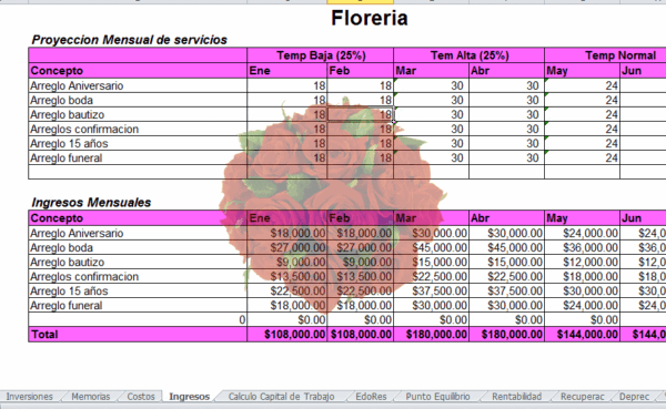 Plan de Negocios proyecto de Floreria