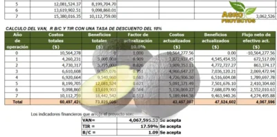 Proyecto de Aguacate Hass