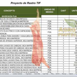 proyecto de rastro TIF