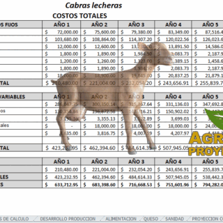 Corrida Financiera de cabras lecheras