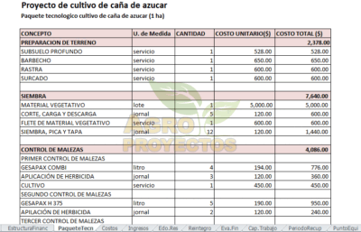 caña de azucar