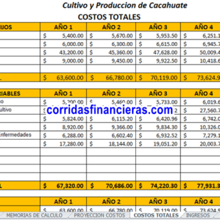 proyecto cultivo de cacahuate