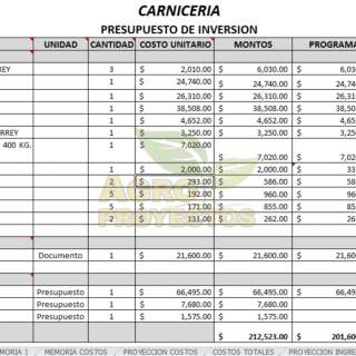 Analisis financiero carniceria (venta de carnes)