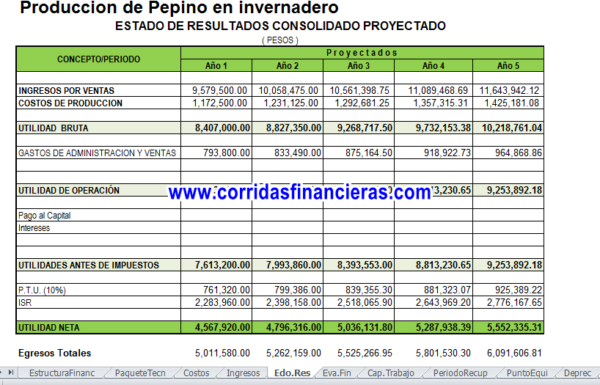 Proyecto pepino en invernadero