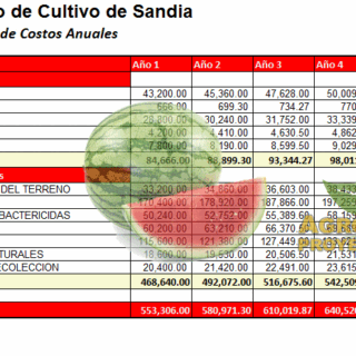 Corrida Finaciera Cultivo de Sandia