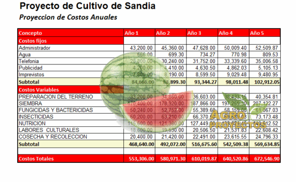 Corrida Finaciera Cultivo de Sandia