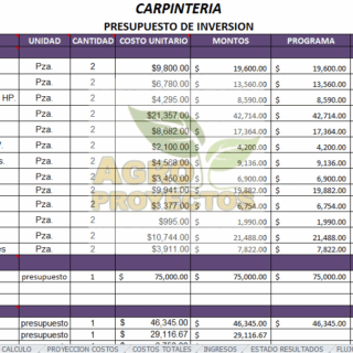 Proyecto de carpinteria