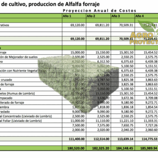 Corrida Financiera proyecto de cultivo de alfalfa