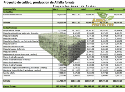 Corrida Financiera proyecto de cultivo de alfalfa
