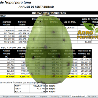 Proyecto de produccion de tuna