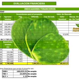 Proyecto de Nopal Verdura