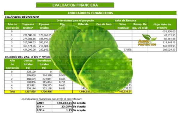 Proyecto de Nopal Verdura