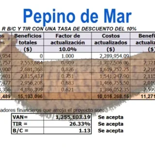 Proyecto de Pepino de mar