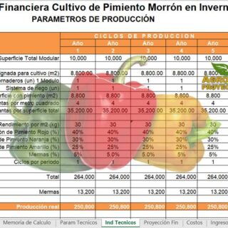 Corrida financiera de Pimiento Morrón en invernadero