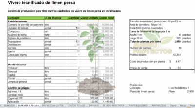 vivero de limon tecnificado