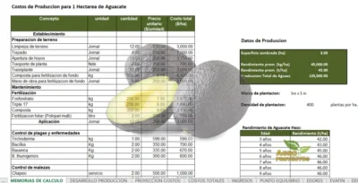 Costos Aguacate Hass