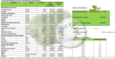 Costos cultivo de guanábana