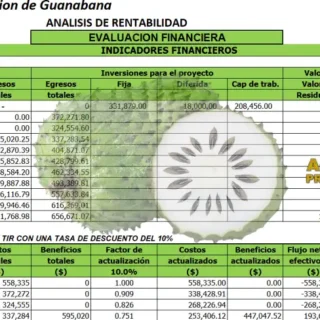 Proyecto cultivo de guanábana