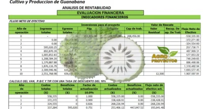Proyecto cultivo de guanábana