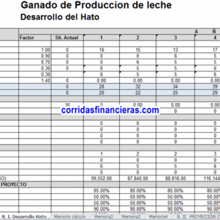 Corrida financiera de vacas lecheras