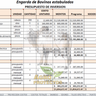 engorda de bovinos estabulados