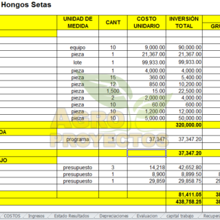 Proyecto hongos setas