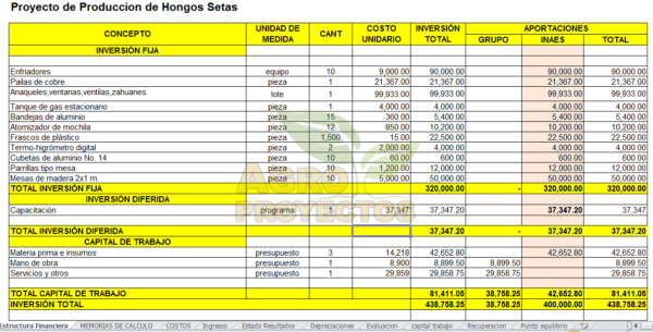 Proyecto hongos setas