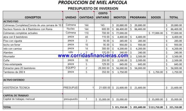 Corrida Financiera Miel Apicola