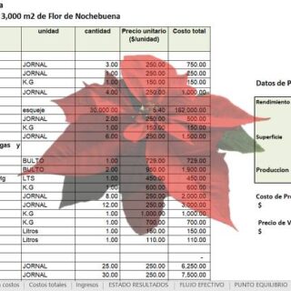 Corrida Financiera de Cultivo de Noche buena en Invernadero