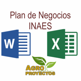 Plan de negocios INAES