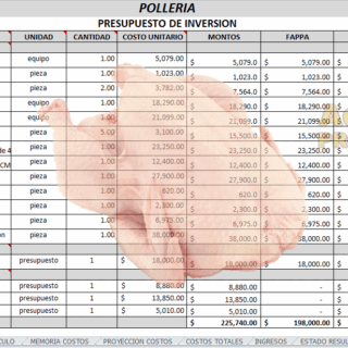 Corrida Financiera de polleria, carne de pollos