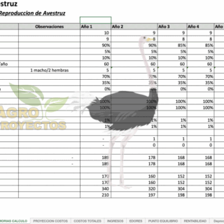 Proyecto de avestruz: cria y engorda de avestruz