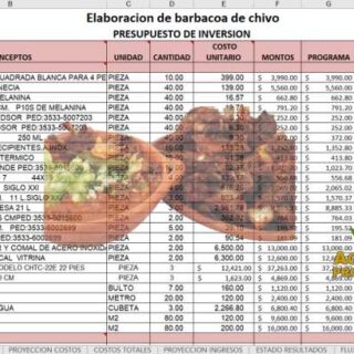 Proyecto barbacoa de chivo