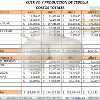 Analisis financiero proyecto de cebolla