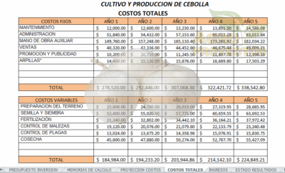 Analisis financiero proyecto de cebolla