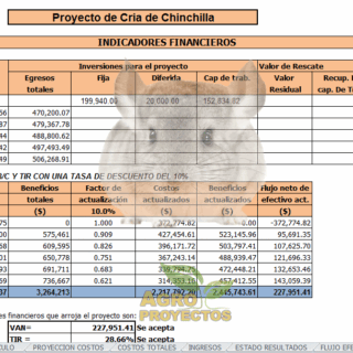 Proyecto de cria de chinchilla