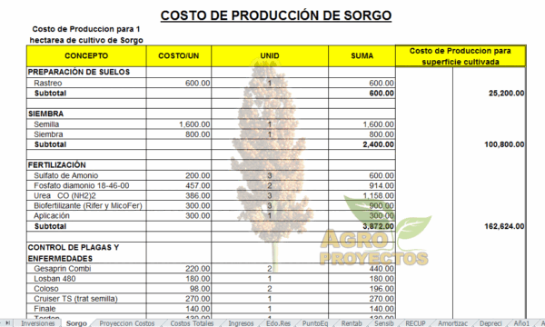 Corrida Financiera cultido de sorgo (proyecto de sorgo)