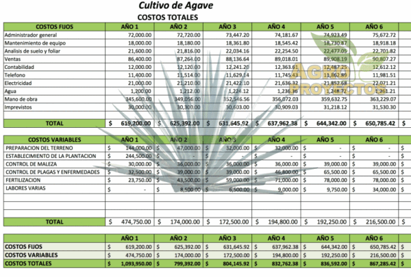 proyecto de agave