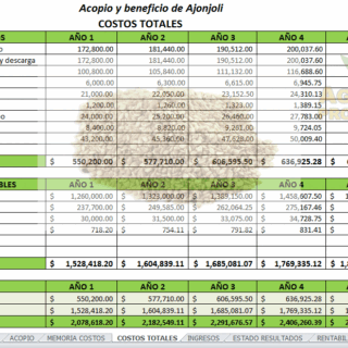 Proyecto de ajonjoli en excel