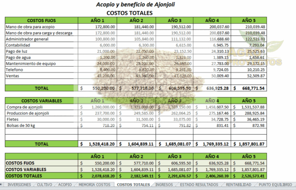 Proyecto de ajonjoli en excel