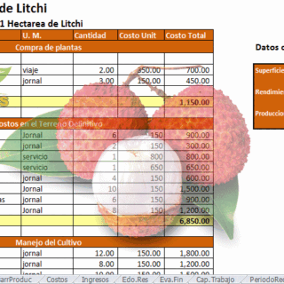 Corrida Financiera de cultivo de litchi