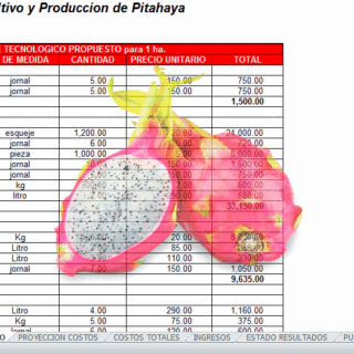 Corrida Financiera proyecto de cultivo de Pitahaya