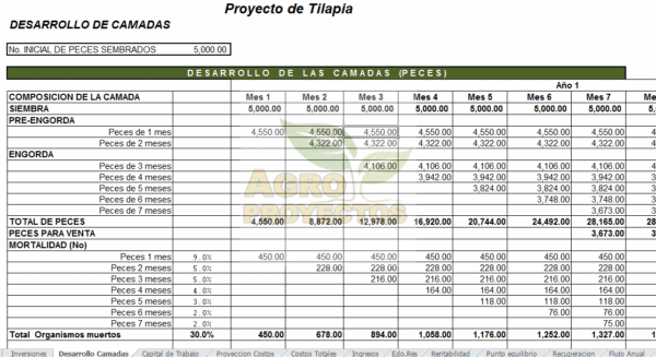 Proyecto de engorda de tilapia