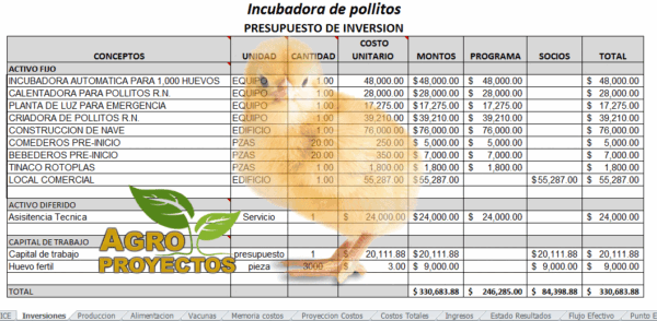 Proyecto de incubadora de pollitos