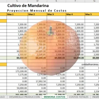 Proyecto cultivo de mandarina