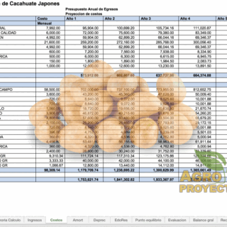 Corrida Financiera de Cacahuate Japones