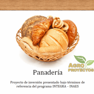 Proyecto de negocio de panaderia