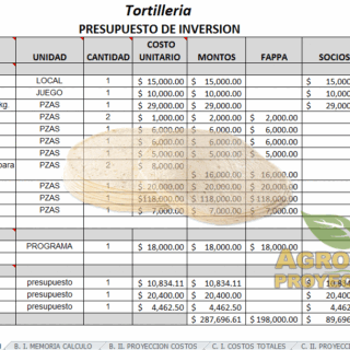 Proyecto de Tortilleria: produccion y comercializacion de tortillas