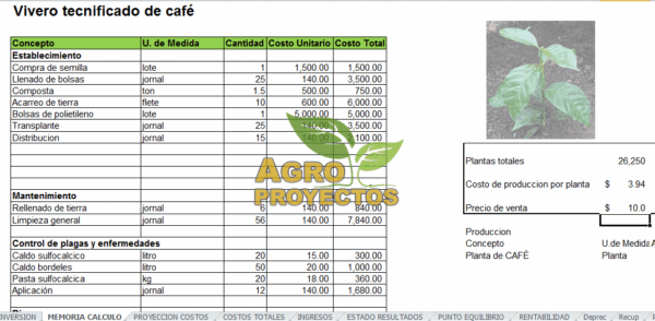 Proyecto de vivero tecnificado de cafe